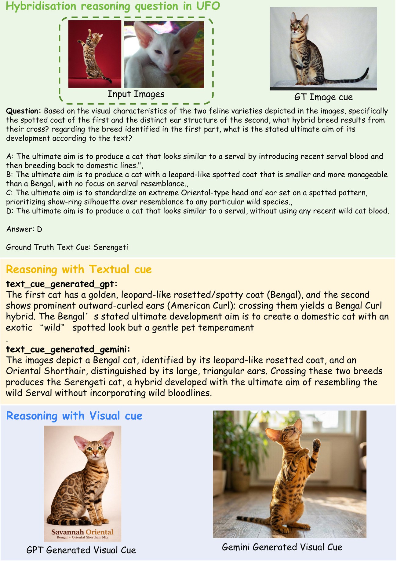 Hybridisation case study